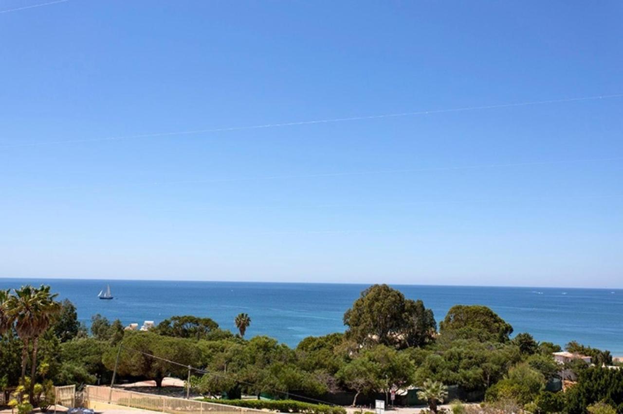 Quinta Barracuda Luxury *